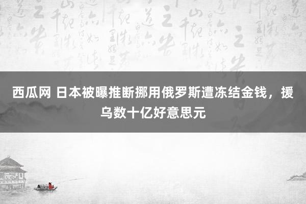 西瓜网 日本被曝推断挪用俄罗斯遭冻结金钱，援乌数十亿好意思元