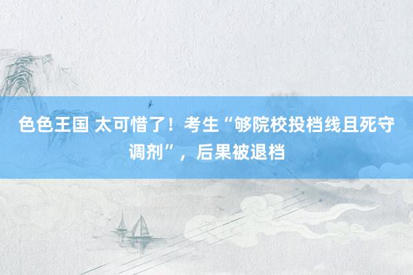 色色王国 太可惜了！考生“够院校投档线且死守调剂”，后果被退档