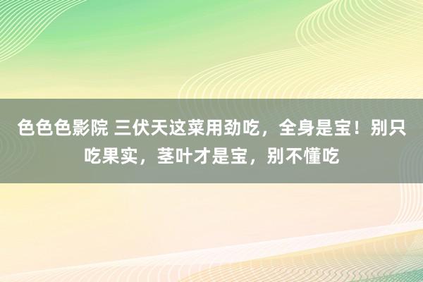 色色色影院 三伏天这菜用劲吃，全身是宝！别只吃果实，茎叶才是宝，别不懂吃