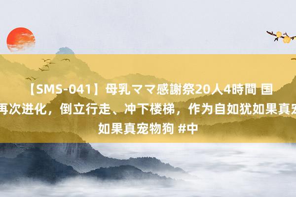 【SMS-041】母乳ママ感謝祭20人4時間 国产机器狗再次进化，倒立行走、冲下楼梯，作为自如犹如果真宠物狗 #中