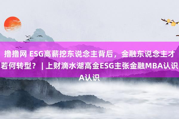 撸撸网 ESG高薪挖东说念主背后，金融东说念主才若何转型？ | 上财滴水湖高金ESG主张金融MBA认识