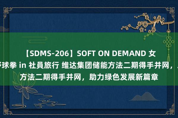 【SDMS-206】SOFT ON DEMAND 女子社員スペシャル野球拳 in 社員旅行 维达集团储能方法二期得手并网，助力绿色发展新篇章