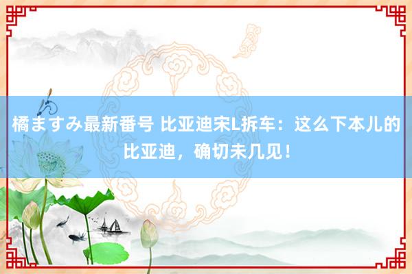 橘ますみ最新番号 比亚迪宋L拆车：这么下本儿的比亚迪，确切未几见！