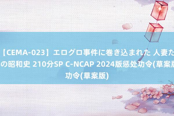 【CEMA-023】エログロ事件に巻き込まれた 人妻たちの昭和史 210分SP C-NCAP 2024版惩处功令(草案版)