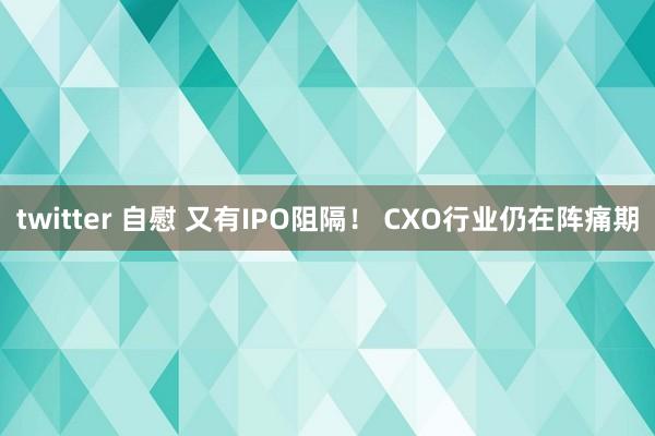 twitter 自慰 又有IPO阻隔！ CXO行业仍在阵痛期