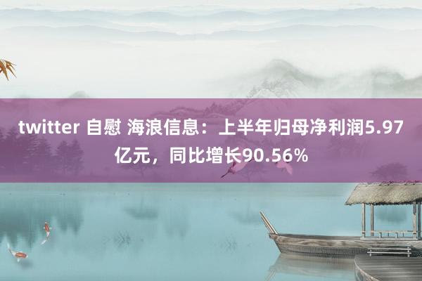 twitter 自慰 海浪信息：上半年归母净利润5.97亿元，同比增长90.56%