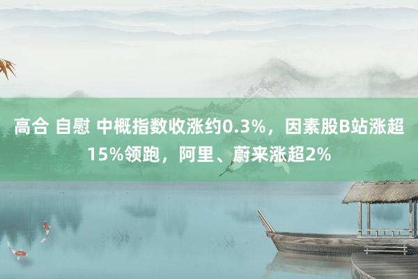 高合 自慰 中概指数收涨约0.3%，因素股B站涨超15%领跑，阿里、蔚来涨超2%