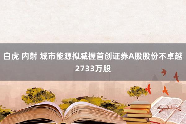 白虎 内射 城市能源拟减握首创证券A股股份不卓越2733万股