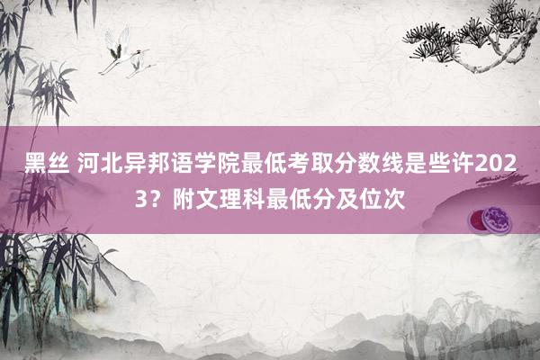 黑丝 河北异邦语学院最低考取分数线是些许2023？附文理科最低分及位次