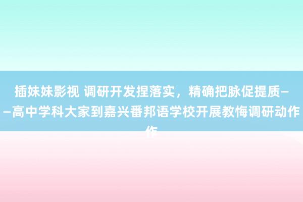 插妹妹影视 调研开发捏落实，精确把脉促提质——高中学科大家到嘉兴番邦语学校开展教悔调研动作