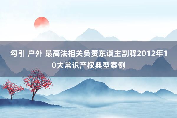 勾引 户外 最高法相关负责东谈主剖释2012年10大常识产权典型案例