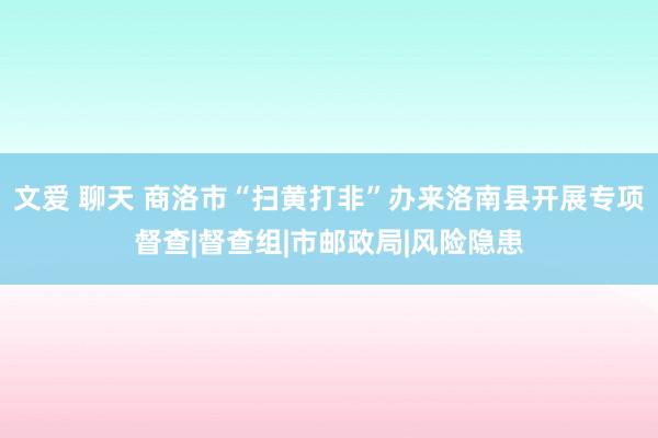 文爱 聊天 商洛市“扫黄打非”办来洛南县开展专项督查|督查组|市邮政局|风险隐患